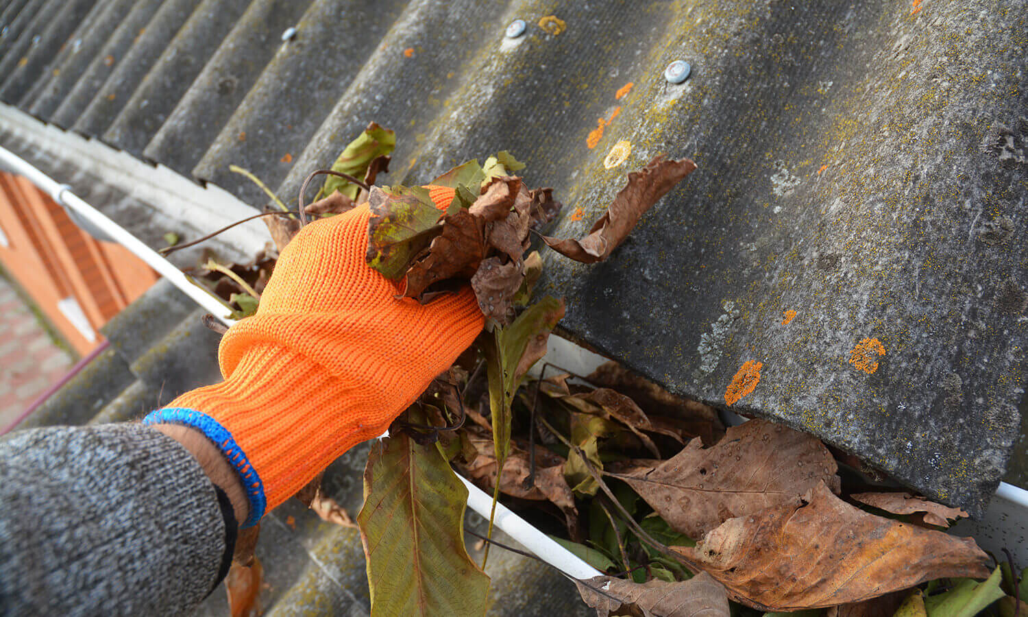 Fall Maintenance AdobeStock 381699682 1500x900