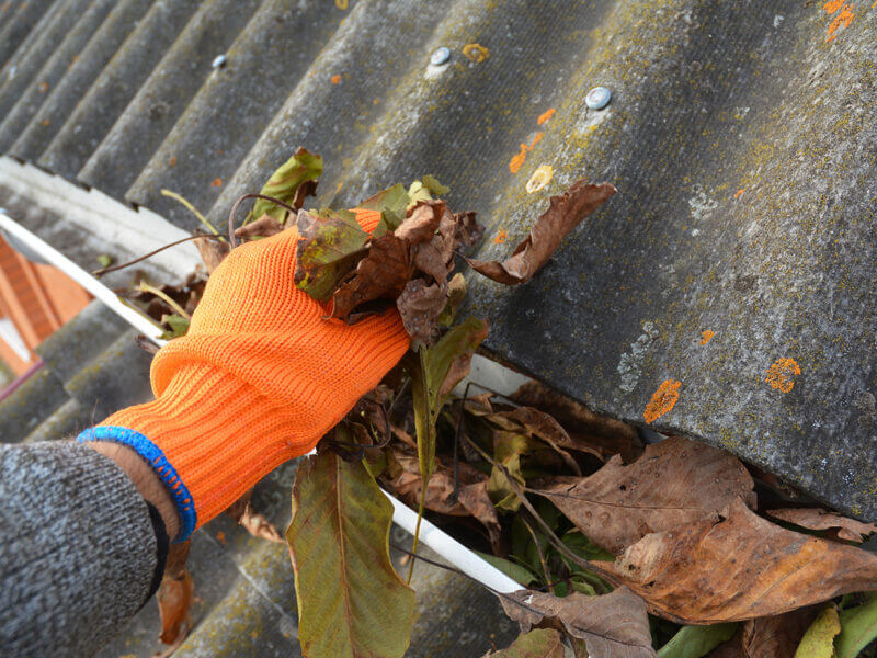 Fall Maintenance AdobeStock 381699682 800x600