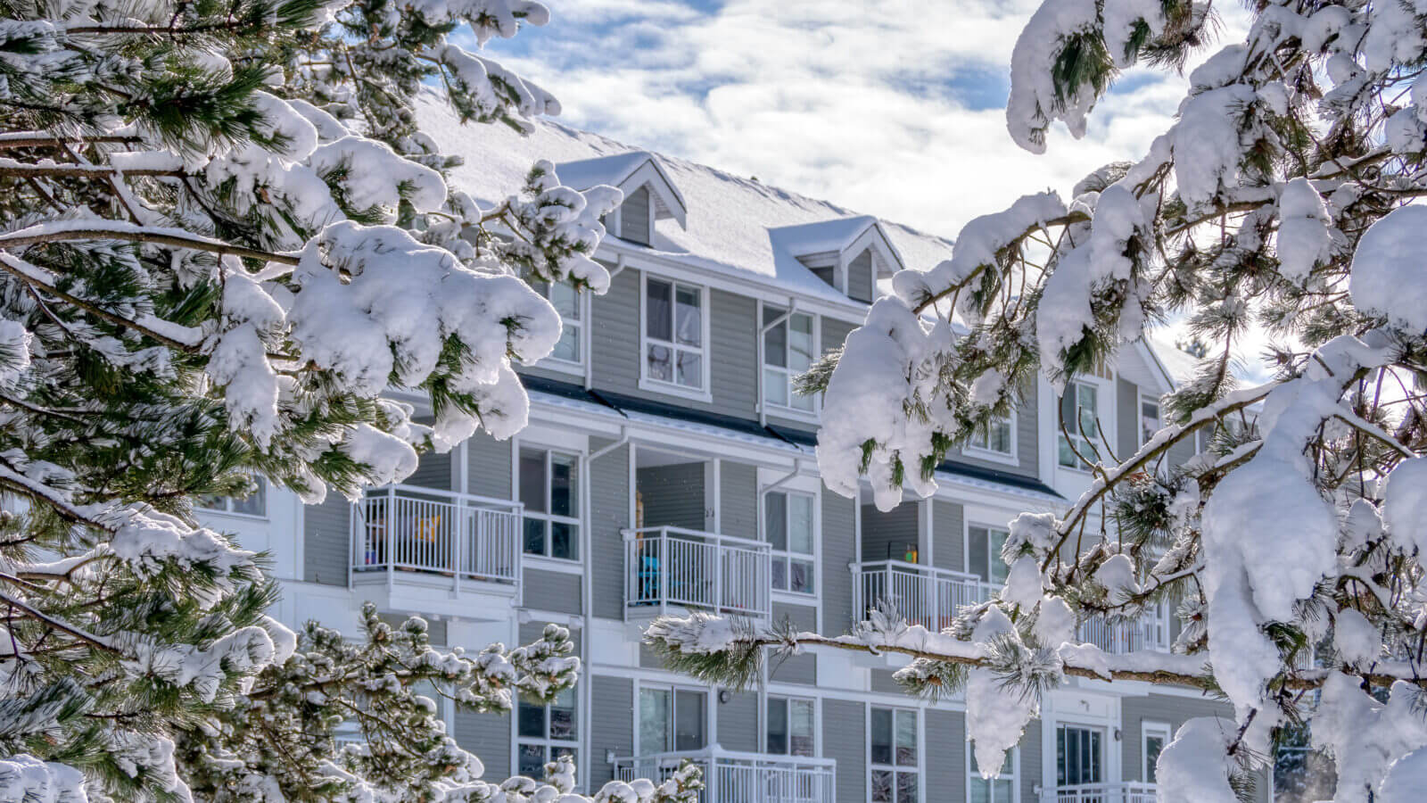 Winter 481185121 1 1600x900