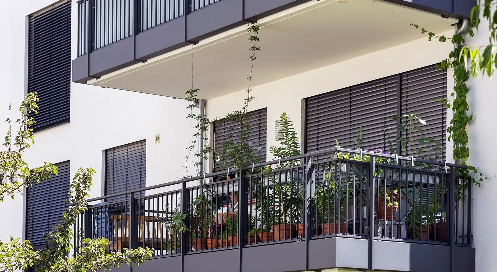 Balcony 668281035 Web